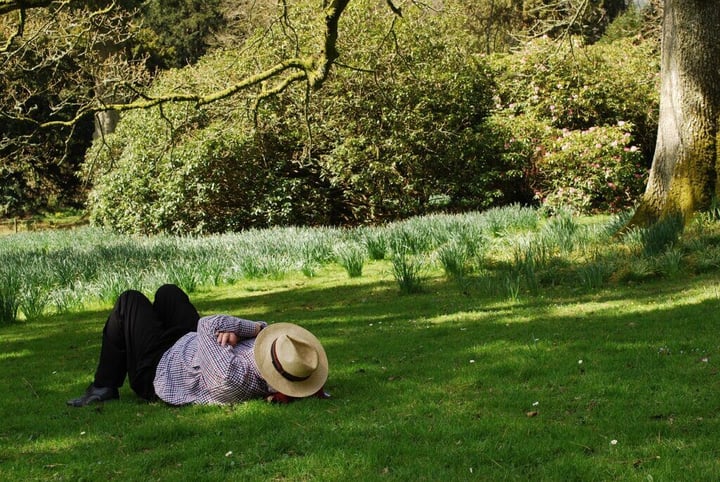 Laid Back